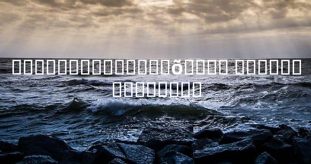 �����˲�Ը������õ���˵ ���౳����������